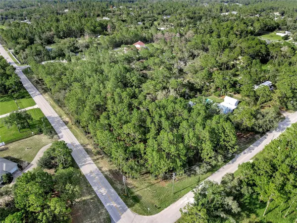 14163 HIGHGROVE RD, Spring Hill, FL 34609