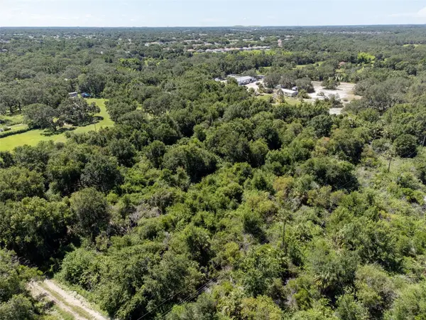 12020 BULLFROG CREEK RD, Gibsonton, FL 33534