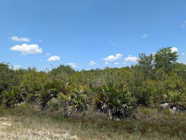 SARASOTA DR, Indian Lake Estates, FL 33855