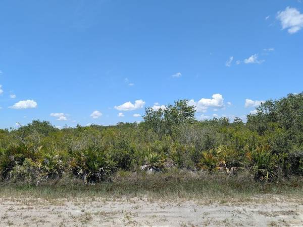 SARASOTA DR, Indian Lake Estates, FL 33855