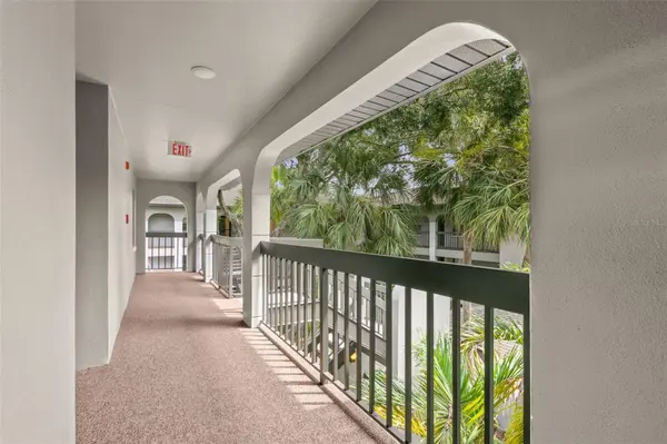 3399 MERMOOR DR #309, Palm Harbor, FL 34685