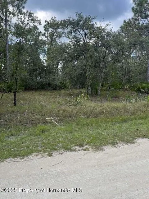 0 ZEBRAFINCH AVE, Weeki Wachee, FL 34614