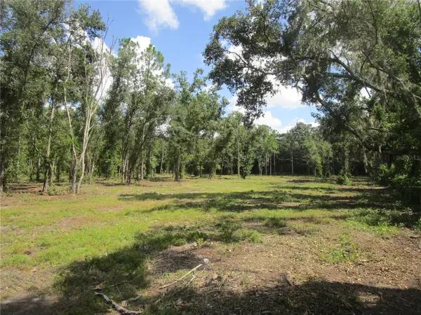 00 CASTLEWOOD RD, Seffner, FL 33584