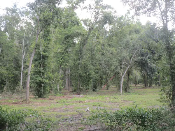 00 CASTLEWOOD RD, Seffner, FL 33584