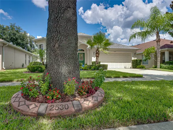 2530 CROSS MORE ST, Valrico, FL 33594