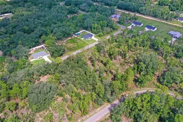 0024 GUAVA PASS DR, Ocklawaha, FL 32179