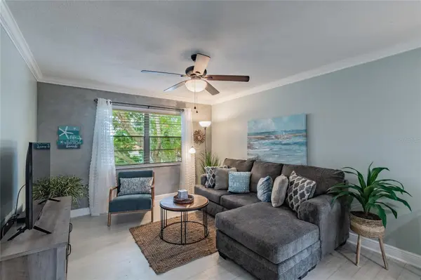 439 S PAULA DR #202, Dunedin, FL 34698