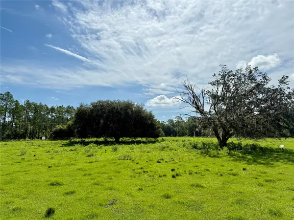 10460 EHREN CUTOFF, Land O Lakes, FL 34639
