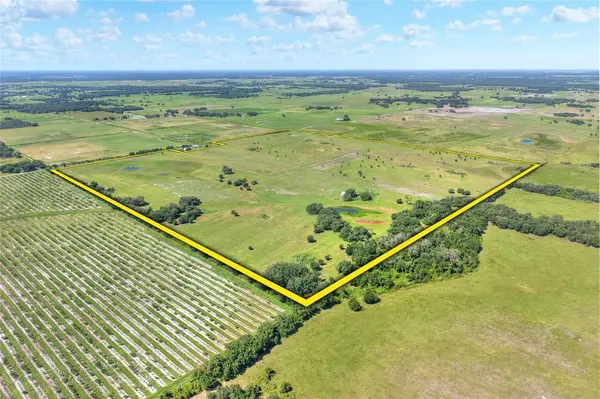 NW LIMESTONE HEIGHTS ST, Arcadia, FL 34266