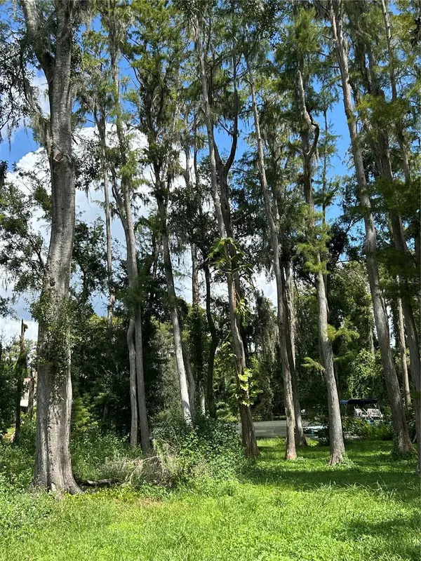 12629 LACEY DR, New Port Richey, FL 34654