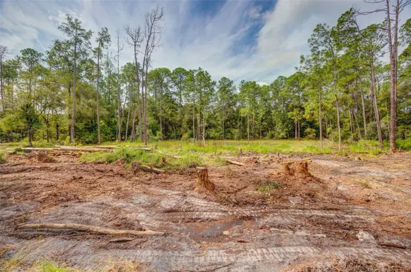 34389 GRINDSTONE DR, Webster, FL 33597