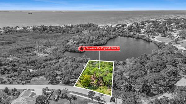 SEAVIEW DR, Crystal Beach, FL 34681