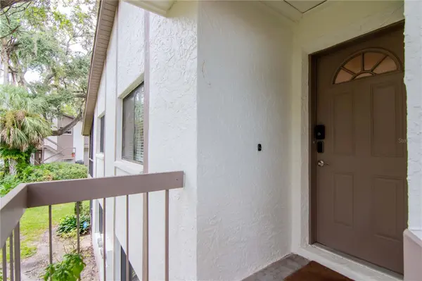 2363 FLANDERS WAY #C, Safety Harbor, FL 34695