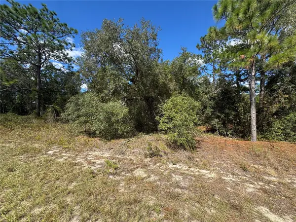 3341 W WILHELM ST, Citrus Springs, FL 34433