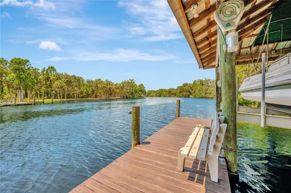 11526 RIVER COUNTRY DR, Riverview, FL 33569