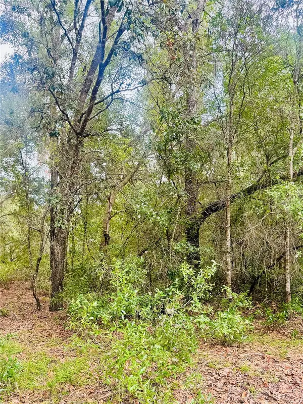 2203 ADAMS ST, Inverness, FL 34453