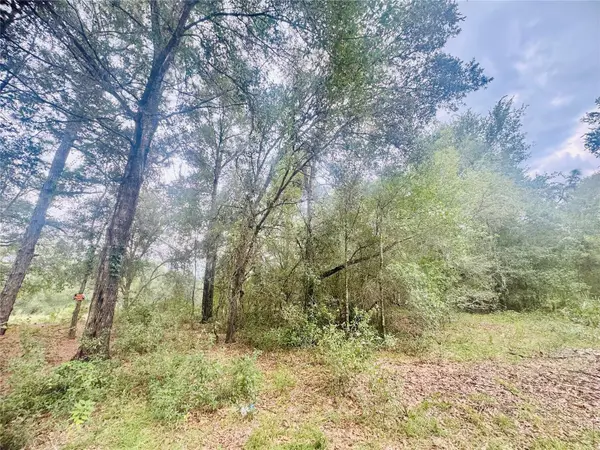 2203 ADAMS ST, Inverness, FL 34453