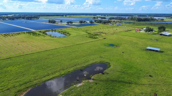 BLANTON ACRES RD, Plant City, FL 33565