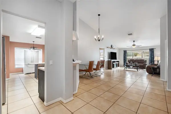 4704 STOVE PL, Valrico, FL 33596