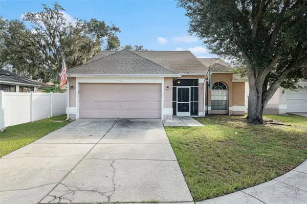4704 STOVE PL, Valrico, FL 33596