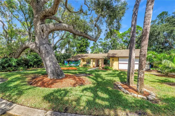 905 SERPENTINE DR S, St Petersburg, FL 33705