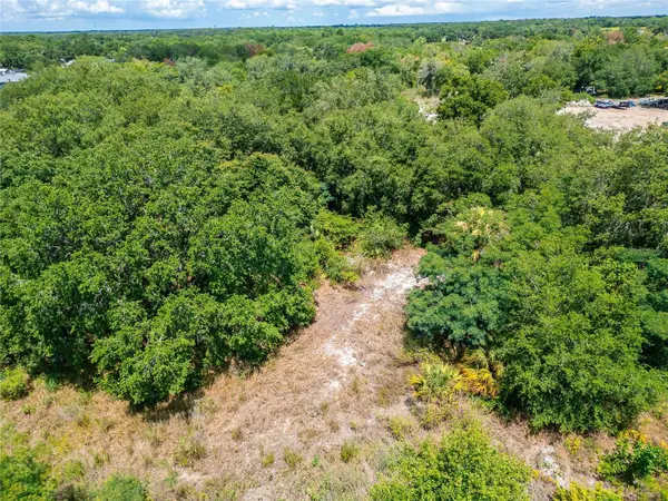 TURKEY CREEK RD, Plant City, FL 33563