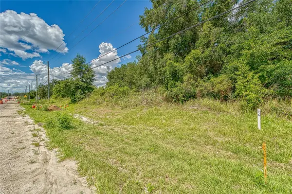 TURKEY CREEK RD, Plant City, FL 33563