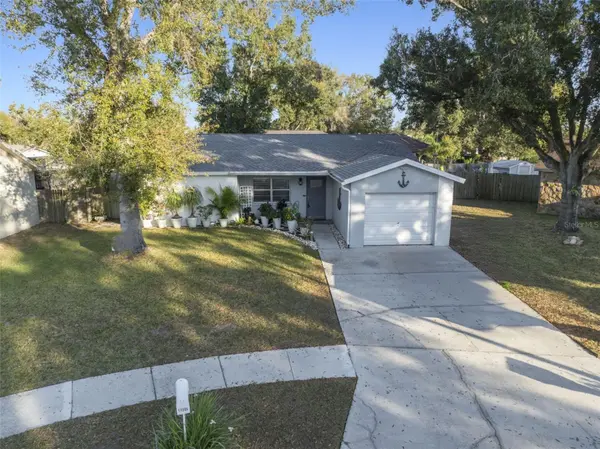 11305 SILVERLEAF CT, Riverview, FL 33579