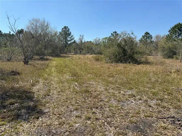 0 LAKE BUFFUM RD, Lake Wales, FL 33859