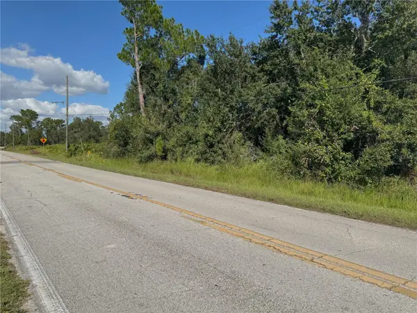 0 ALTURAS BABSON PARK CUT OFF RD, Bartow, FL 33830