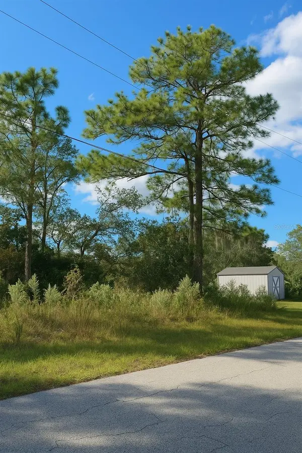 7800 N PRIMROSE DR, Citrus Springs, FL 34434