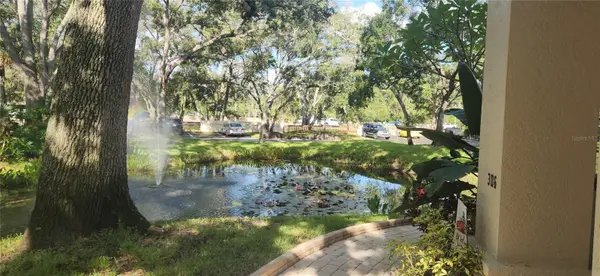 304 LOS PRADOS #304, Safety Harbor, FL 34695