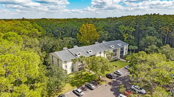 3232 LAKE PINE WAY E #F2, Tarpon Springs, FL 34688