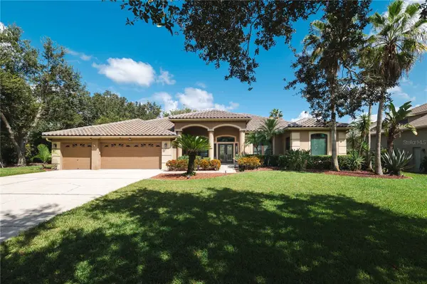2151 DIAMOND CT, Oldsmar, FL 34677