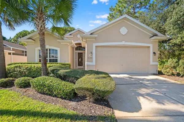 10199 HOLLY BERRY DR, Weeki Wachee, FL 34613