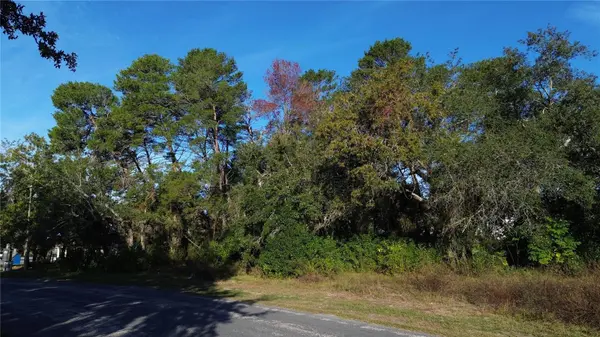 7939 RHANBUOY RD, Spring Hill, FL 34606