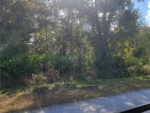 9460 ROUSSEAU ST, Webster, FL 33597