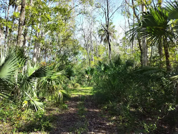 10008 W PENNSYLVANIA ST, Homosassa, FL 34448
