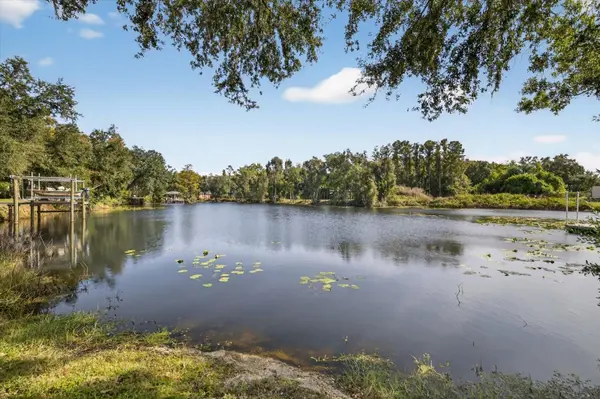 3926 COVE LAKE PL, Land O Lakes, FL 34639