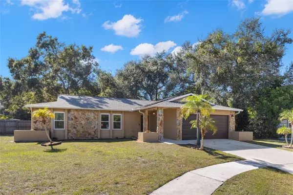 112 MEADOWCROSS DR, Safety Harbor, FL 34695