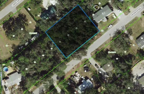 0 LANTANA AVE, New Port Richey, FL 34654