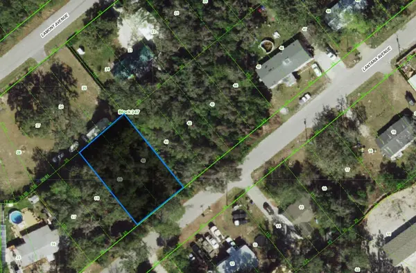000 LANTANA AVE, New Port Richey, FL 34654