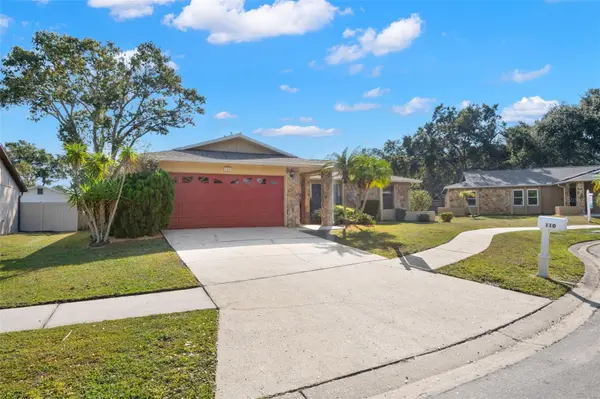 110 MEADOWCROSS DR, Safety Harbor, FL 34695
