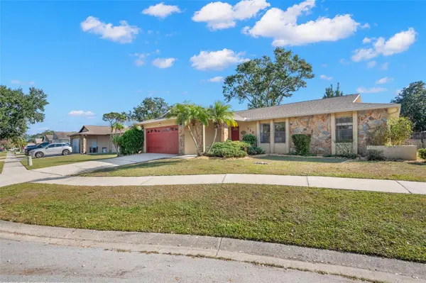 110 MEADOWCROSS DR, Safety Harbor, FL 34695