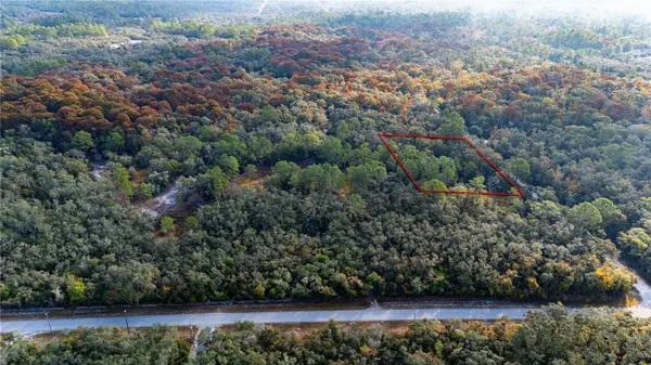 0 ROSE BLOOM LOT 5 AVE, Webster, FL 33597