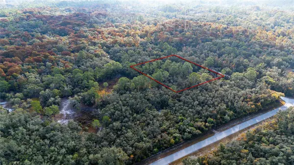 0 ROSE BLOOM LOT 5 AVE, Webster, FL 33597