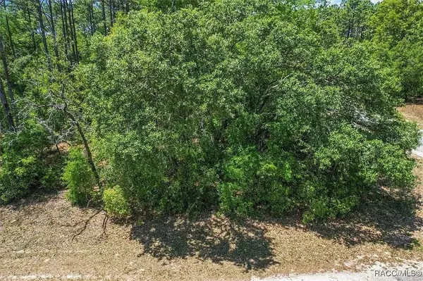 9410 N PEACHTREE WAY, Citrus Springs, FL 34434