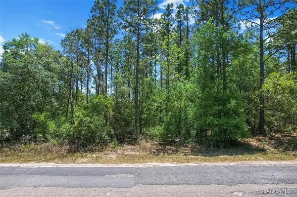 9410 N PEACHTREE WAY, Citrus Springs, FL 34434