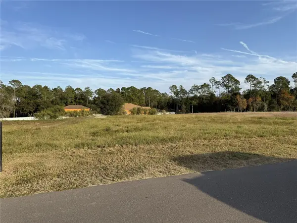 14950 MIM PL, Dade City, FL 33525