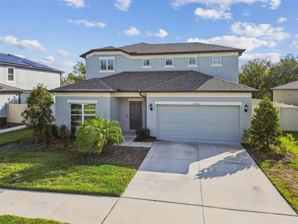 18196 PORFIRIO PL, Spring Hill, FL 34610